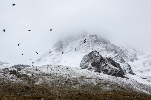 mountain
